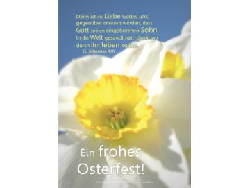 Poster Ostern A1 - Narzissenblüte II - Osterposter