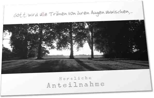 Christliche Trauerkarte: Pappeln im Gegenlicht