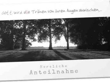 Christliche Trauerkarte: Pappeln im Gegenlicht