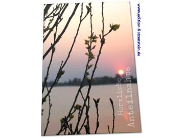 Christliche Trauerkarte: Zweige vor Abendsonne