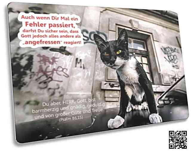 Postkarte: Schwarz-weiße Straßenkatze