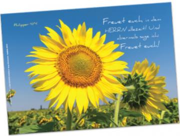 Poster A1: Sonnenblume