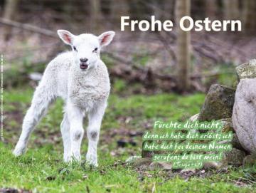 Poster Ostern A1 - Osterlämmchen