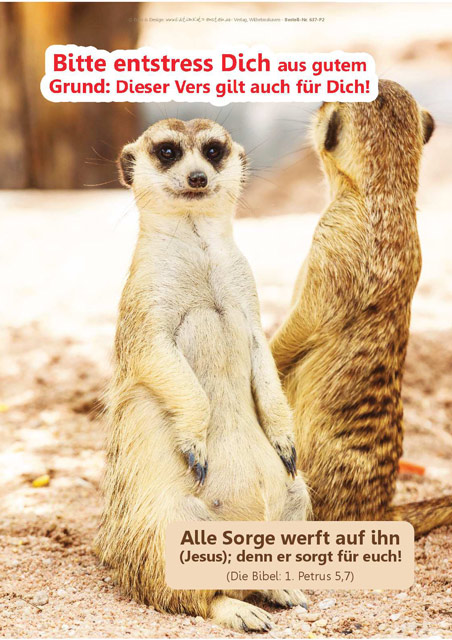 Christliches Poster A3: Erdmännchen in Gegenrichtung schauend