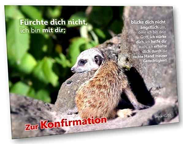 Konfirmationskarte: Baby-Erdmännchen