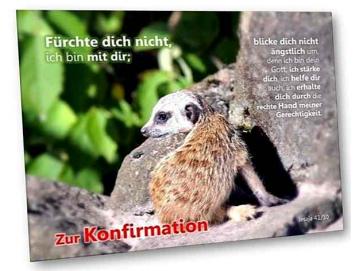 Konfirmationskarte: Baby-Erdmännchen