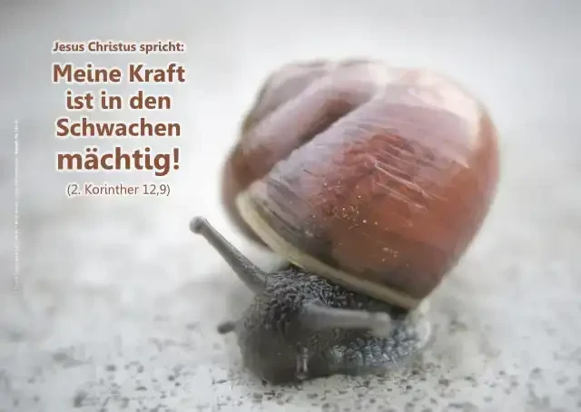 Christliches Poster A2: Kleine Schnecke