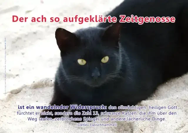 Christliches A2-Poster mit schwarzer Katze auf hellem Sand und Zitat gegen Aberglaube von Detlev Fleischhammel.
