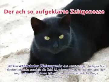 Christliches Poster A4: Schwarze Katze auf Sand