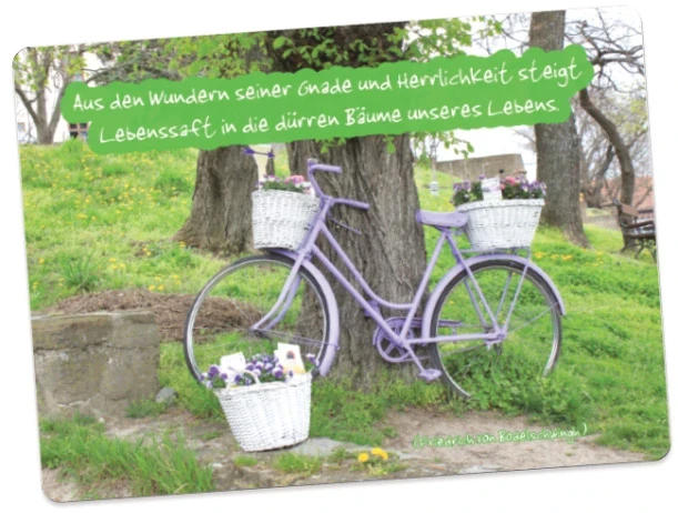 Christliches Poster A2 mit lila Fahrrad an Baum & Zitat von Friedrich von Bodelschwingh über göttliche Gnade