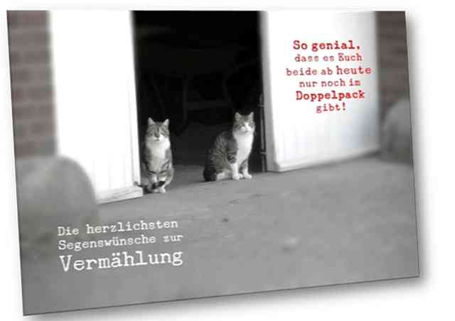Hochzeitskarte: Katzenpaar