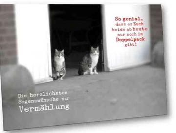 Hochzeitskarte: Katzenpaar