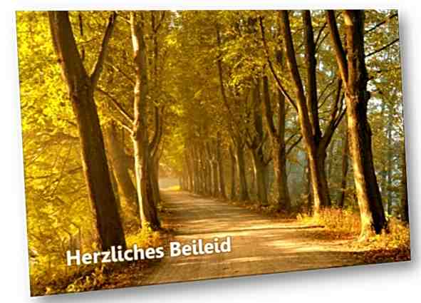 Christliche Trauerkarte: Baumallee