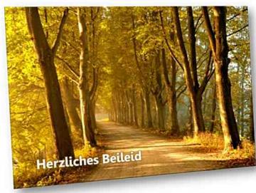 Christliche Trauerkarte: Baumallee