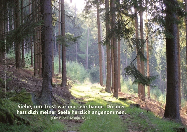 Christliche Poster A3 -Set 14 - Schaukasten-Plakate