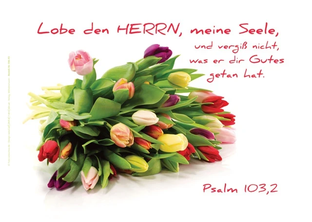 Christliche Poster A4 -Set 14 - Schaukasten-Plakate
