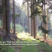 Christliche Poster A4 -Set 14 - Schaukasten-Plakate