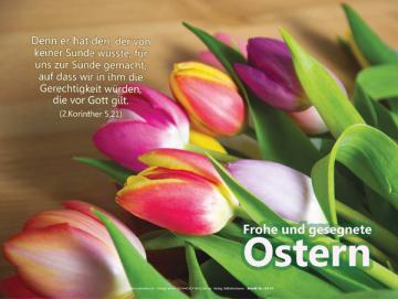 Poster A4 Ostern - Oster-Tulpen