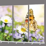 Bestatterbedarf: Roll-Up Display 1er-Set "Diestelfalter "