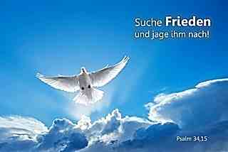 Christliches Poster A4 - Weiße Taube