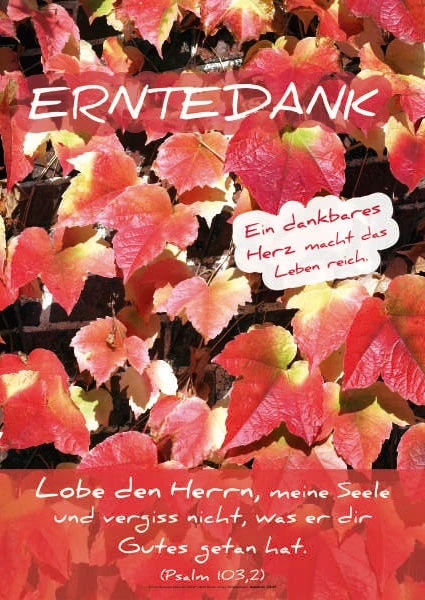 Christliches Poster A2 – Bunt gefärbte Weinblätter – Erntedank – Psalm 103,2