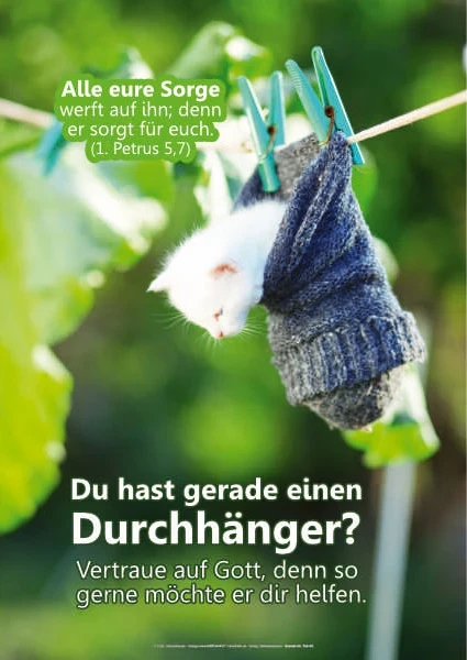 Christliches A2-Poster – Kätzchen im Socken