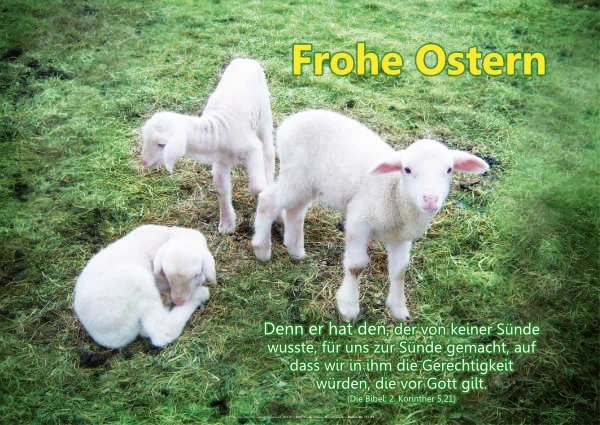 Christliches Poster A2 – „Osterlämmer“ | Frohe Ostern mit Bibelvers aus 2. Korinther 5,21