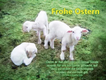 Christliches Poster A2 – „Osterlämmer“ | Frohe Ostern mit Bibelvers aus 2. Korinther 5,21