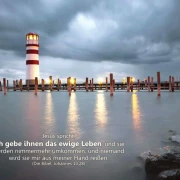 Poster A1 Set 15 - Schaukastenplakate