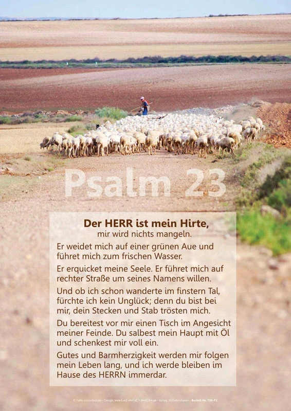 Poster A3 Set 15 - Schaukastenplakate