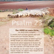 Poster A3 Set 15 - Schaukastenplakate
