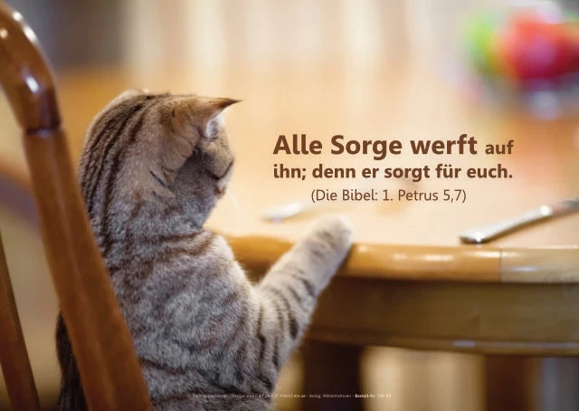 Postkarte mit Motiv einer entspannten Katze am Esstisch und dem Bibelvers „Alle Sorge werft auf ihn; denn er sorgt für euch.“ (1. Petrus 5,7)