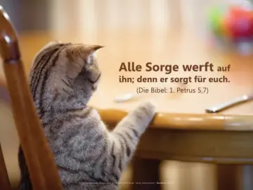 Christliche Postkarte „Katze am Esstisch“