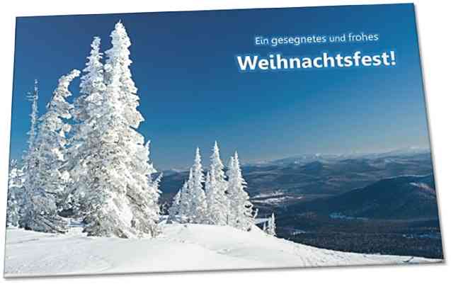 Weihnachtskarte - Schneebedeckte Tannen