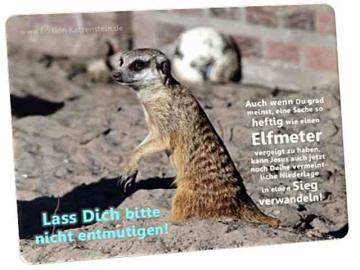 Postkarte: Erdmännchen vor Fußball - Ermutigung