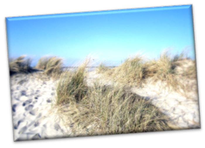 Leinwanddruck: Nordsee - Sommerdüne