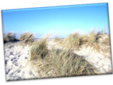 Leinwanddruck: Nordsee - Sommerdüne