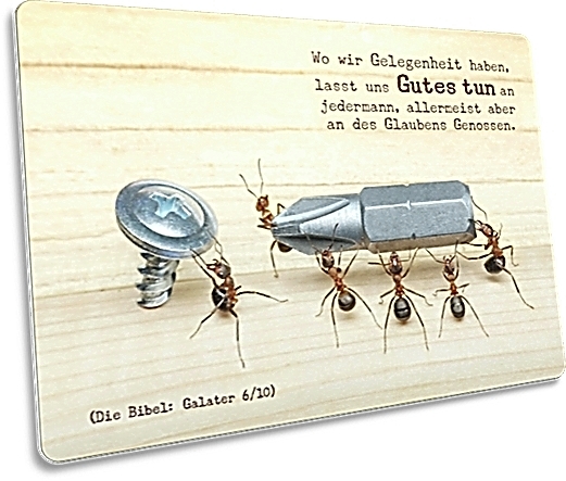 Postkarte: Ameisen bei der Arbeit