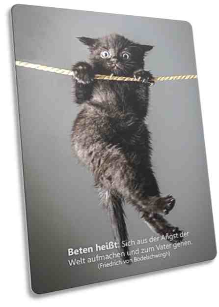 Postkarte: An Seil hängendes Kätzchen