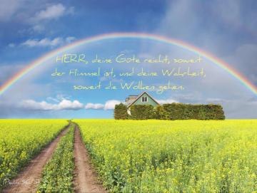 Poster A2 - Regenbogen über Rapsfeld