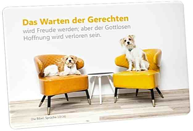 Postkarte: Hunde auf bunten Sessel