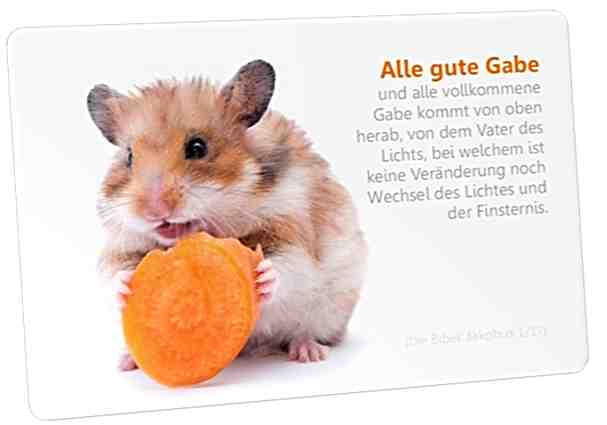 Postkarte: Hamster mit Karotte