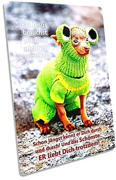 Postkarte: Hund in voller Strickmontur