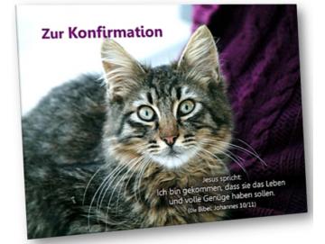 Konfirmationskarte - Katzenportrait