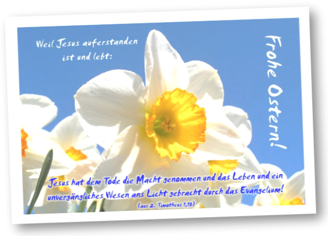 Osterkarte, Faltkarte: Narzissenblüte I