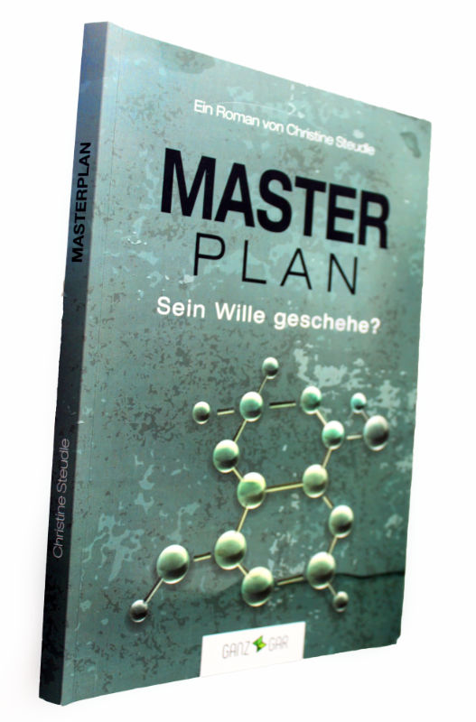 Roman - Masterplan - Sein Wille geschehe? - Taschenbuch