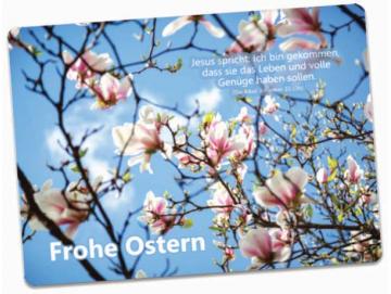 Osterkarte: Magnolienblüten