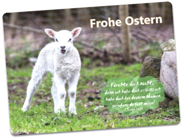 Osterkarte: Osterlämmchen