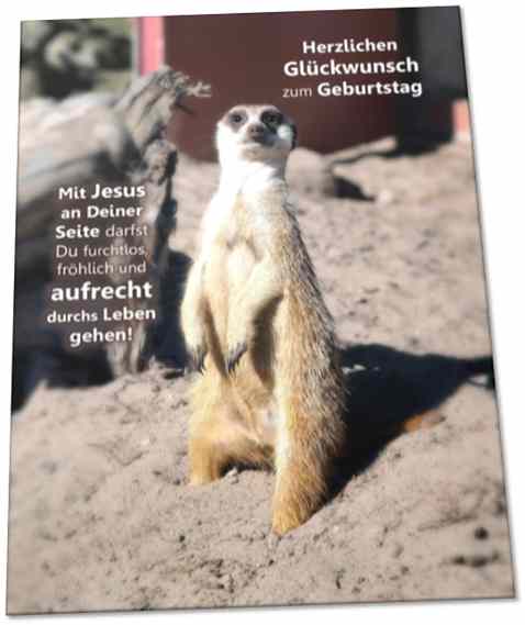 Geburtstagskarte: Aufrecht stehendes Erdmännchen