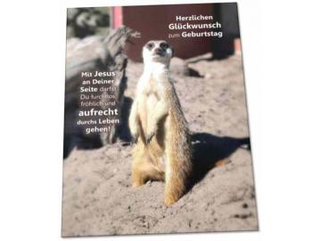 Geburtstagskarte: Aufrecht stehendes Erdmännchen